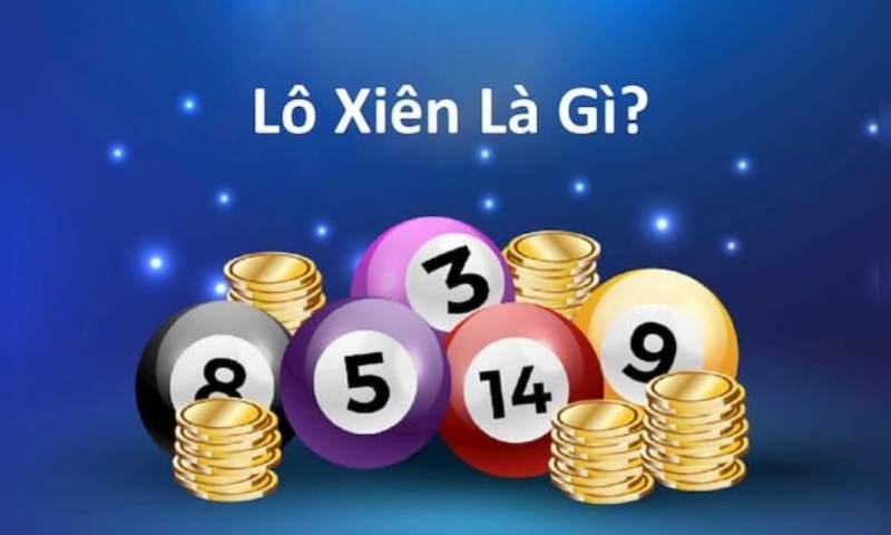 Lô xiên là gì?